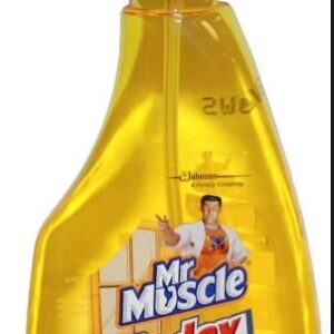 WINDEX WITH LEMON 500 ML 1 CT